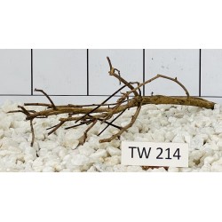 Talawawood 214
