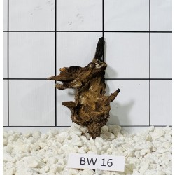 Bogwood 16
