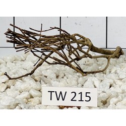 Talawawood 215