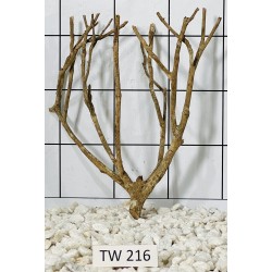 Talawawood 216