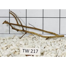 Talawawood 217