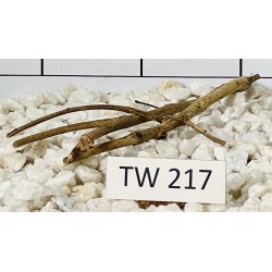 Talawawood 217