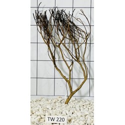 Talawawood 220