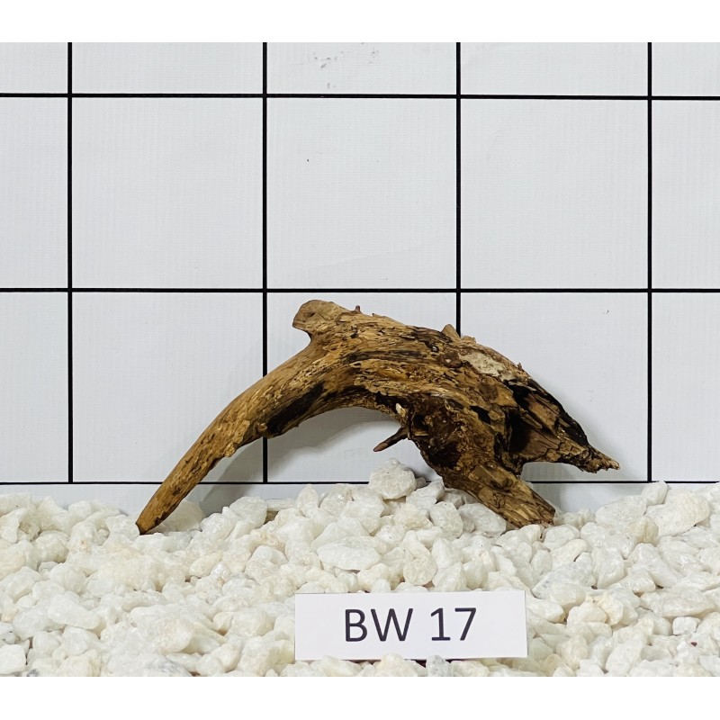 Bogwood 17