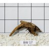 Bogwood 17