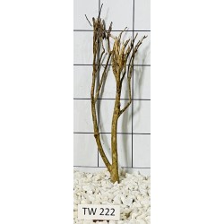 Talawawood 222
