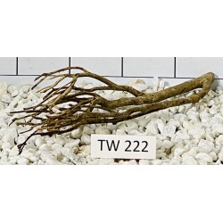 Talawawood 222