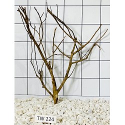Talawawood 224