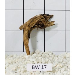 Bogwood 17