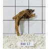 Bogwood 17