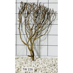 Talawawood 226