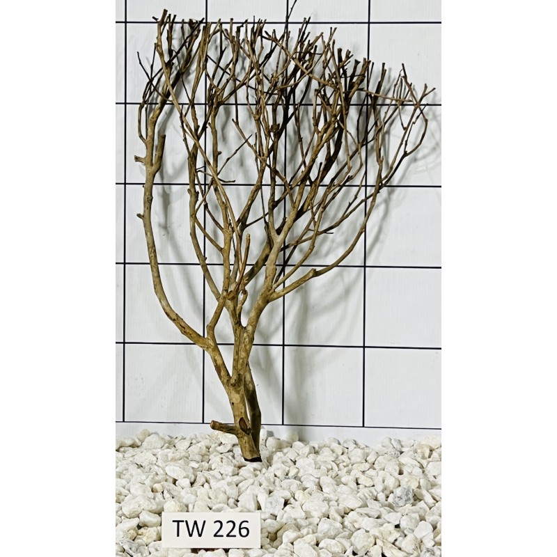 Talawawood 226