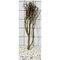 Talawawood 227