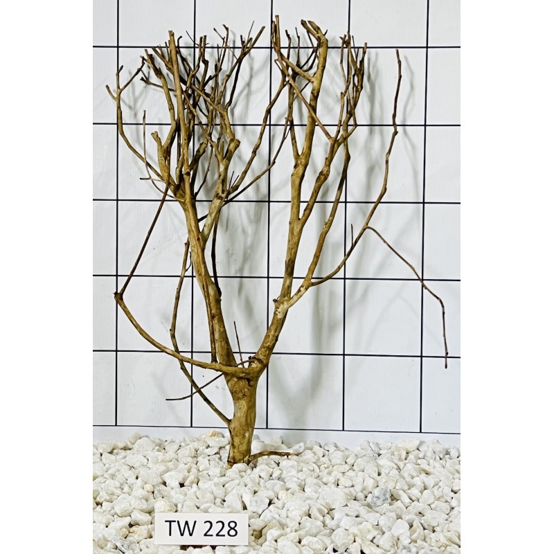 Talawawood 228