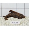 Bogwood 18