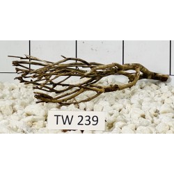 Talawawood 239
