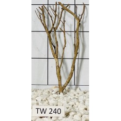 Talawawood 240
