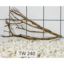 Talawawood 240