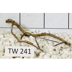 Talawawood 241