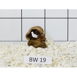 Bogwood 19