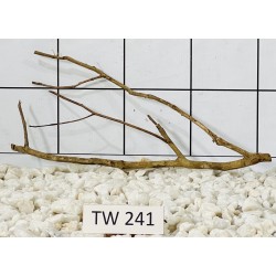 Talawawood 241