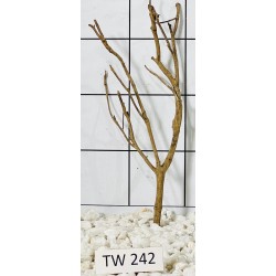 Talawawood 242