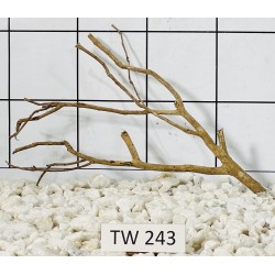 Talawawood 243