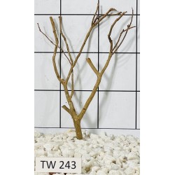 Talawawood 243