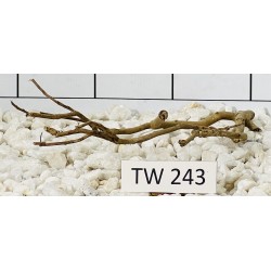 Talawawood 243