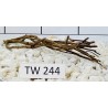 Talawawood 244