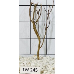 Talawawood 245