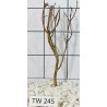 Talawawood 245