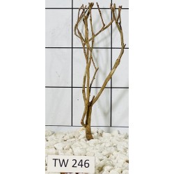Talawawood 246