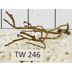Talawawood 246