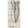 Talawawood 248
