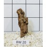 Bogwood 20