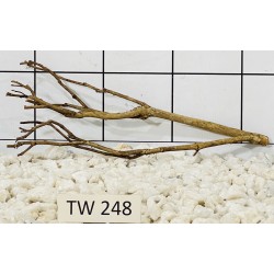 Talawawood 248