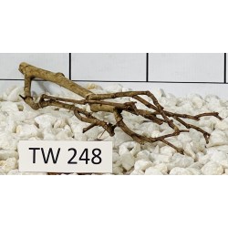 Talawawood 248