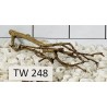 Talawawood 248