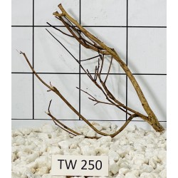Talawawood 250