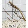 Talawawood 250
