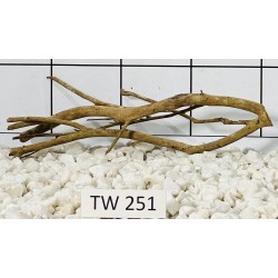 Talawawood 251