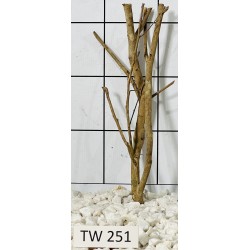 Talawawood 251