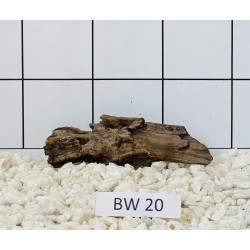 Bogwood 20