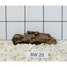 Bogwood 20