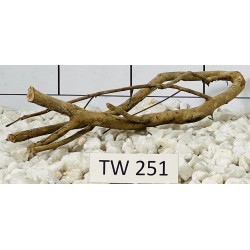 Talawawood 251