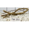 Talawawood 251