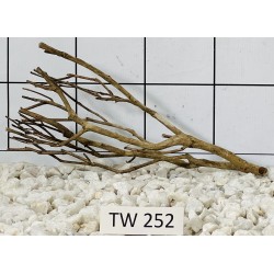 Talawawood 252