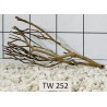 Talawawood 252
