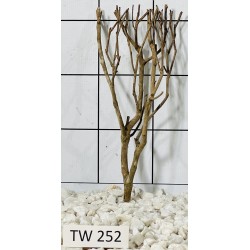 Talawawood 252